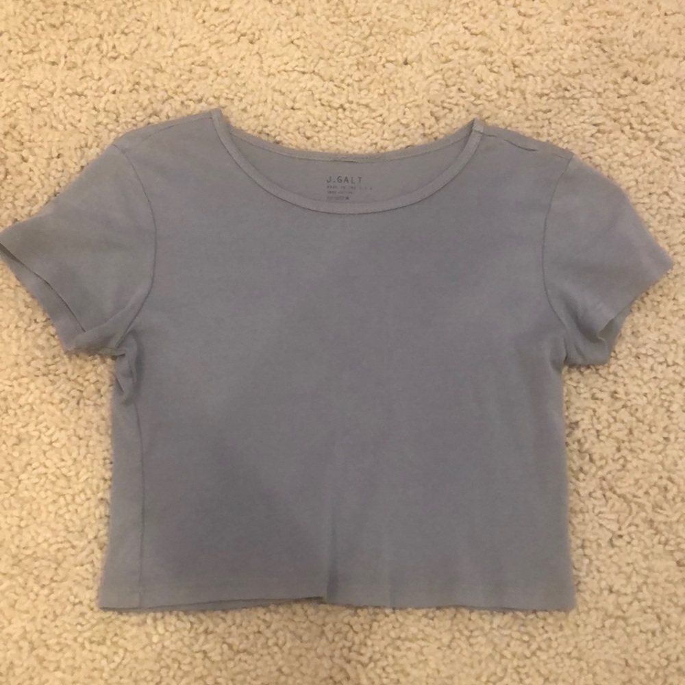 john galt/brandy melville crop top